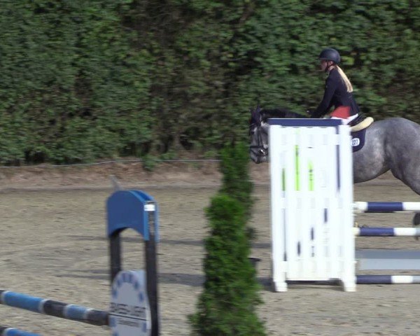 Reitturnier Arnsberg-Holzen 2024