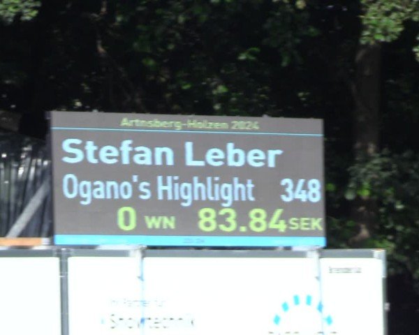 Reitturnier Arnsberg-Holzen 2024