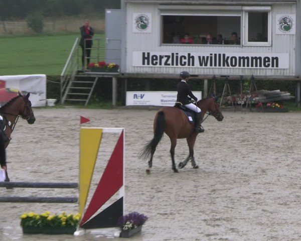 Reitturnier Monschau-Mützenich 2024