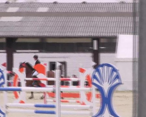 Dressur- und Springturnier Eröffnung der grünen Saison 2013