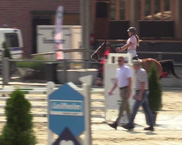 Reitturnier Ennigerloh-Neubeckum 2024