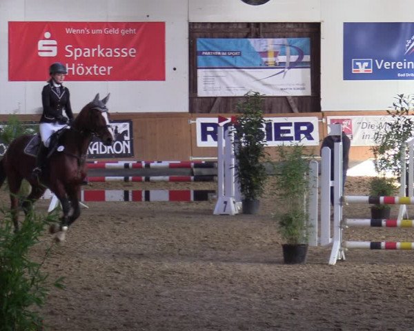 Reitturnier Steinheim 2021