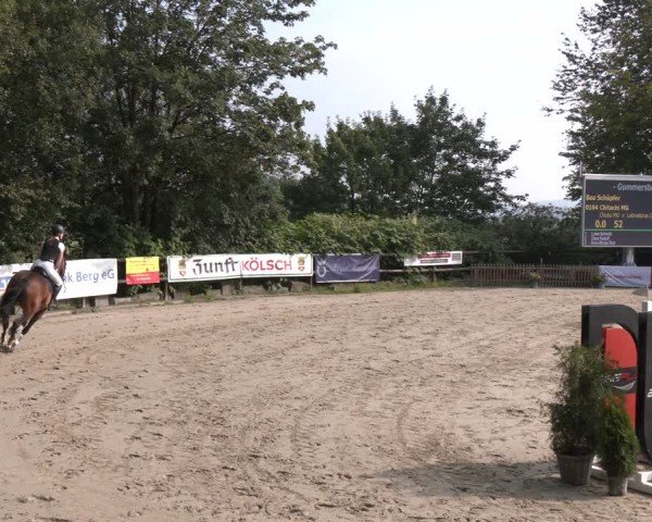 Reitturnier Marienheide-Kempershöhe 2024