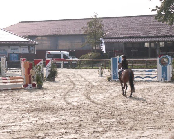 Reitturnier Marienheide-Kempershöhe 2024