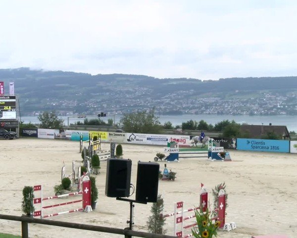 Reitturnier Wädenswil 2024