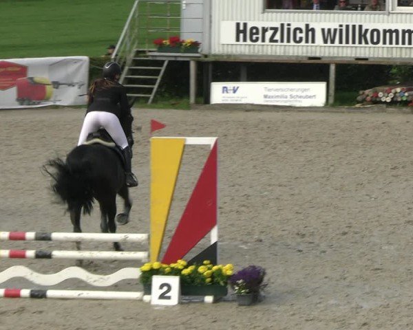 Reitturnier Monschau-Mützenich 2024