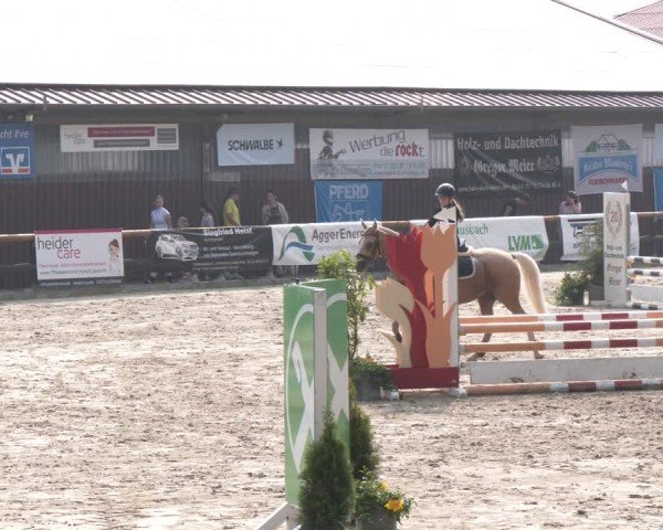 Reitturnier Marienheide-Kempershöhe 2024