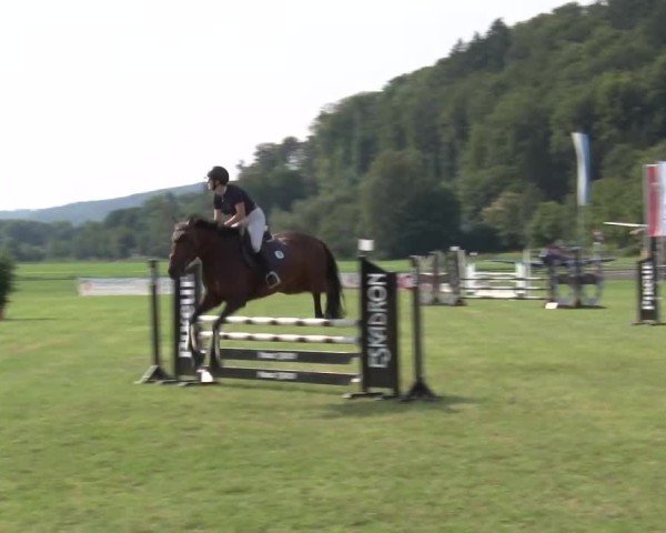 Reitturnier Bad Kissingen/Ufr. 2024