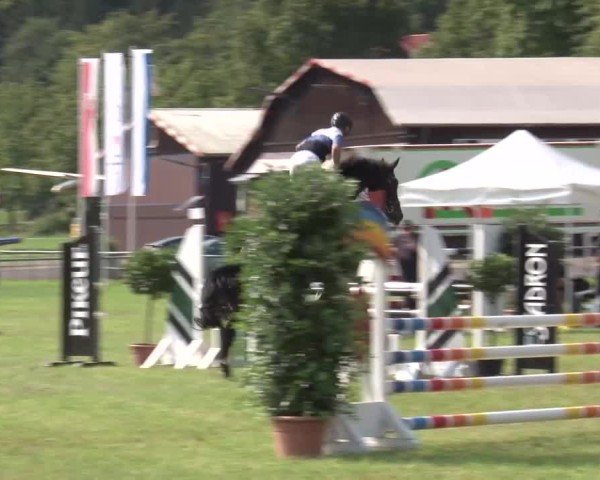 Reitturnier Bad Kissingen/Ufr. 2024