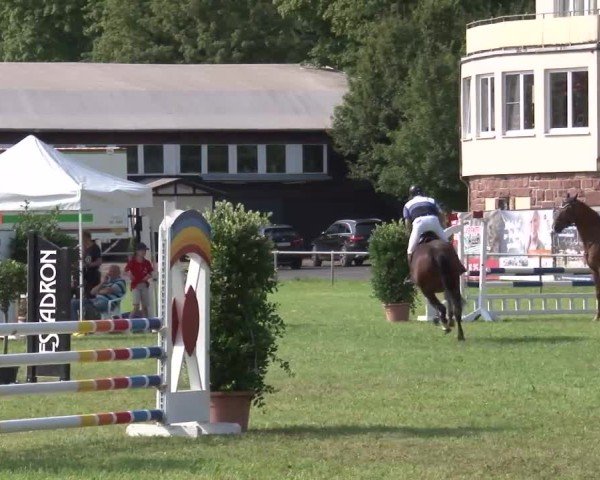 Reitturnier Bad Kissingen/Ufr. 2024