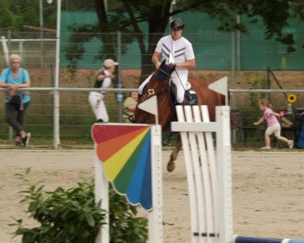 Reitturnier Mannheim-Friedrichsfeld 2024