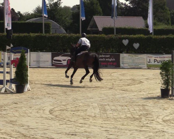 Reitturnier Ennigerloh-Neubeckum 2024