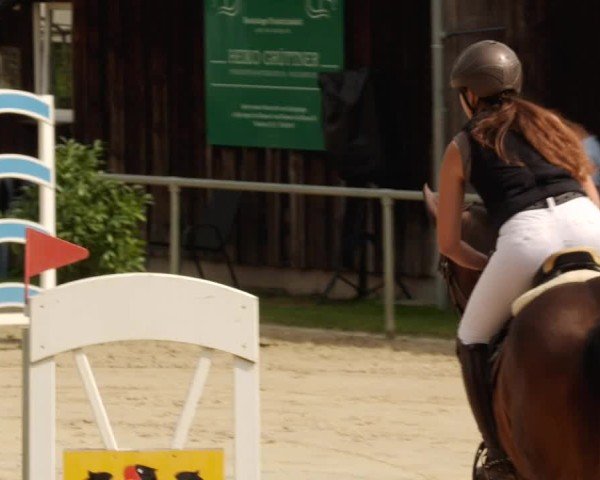 Reitturnier Mannheim-Friedrichsfeld 2024