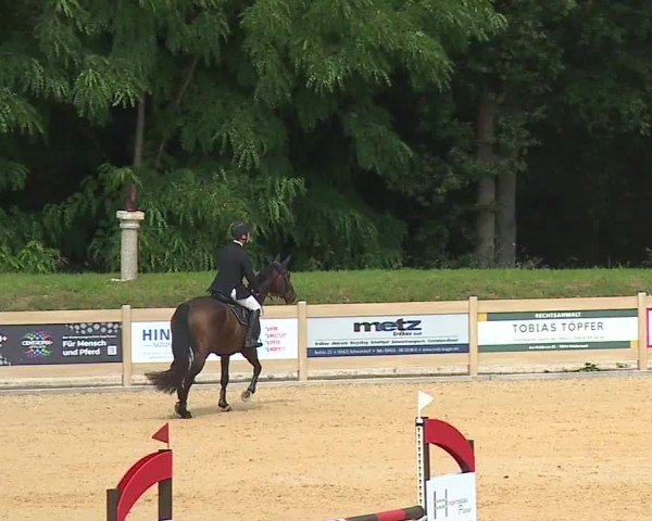 Reitturnier Tiefenhof/Opf. 2024