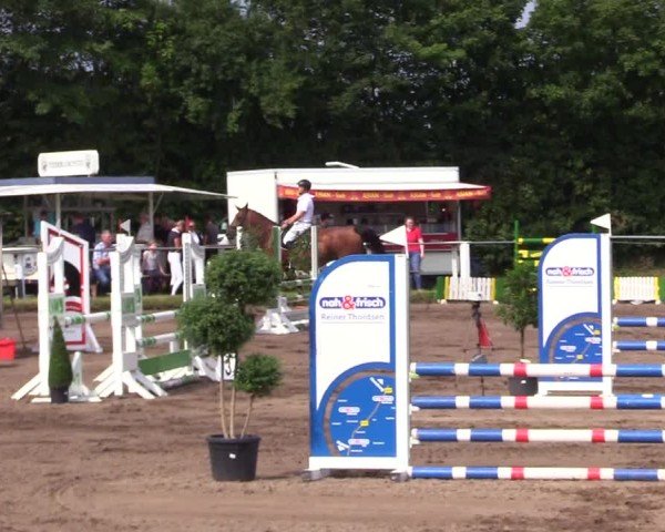 Reitturnier Sollerup 2024