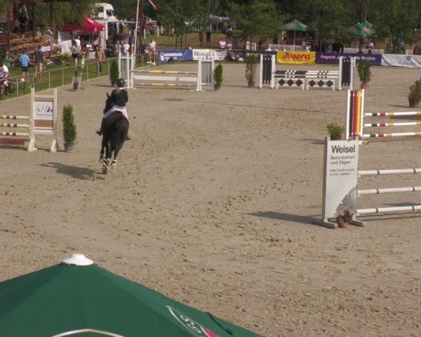 Reitturnier Groß-Zimmern 2024