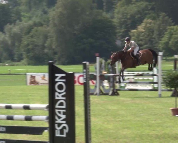 Reitturnier Bad Kissingen/Ufr. 2024
