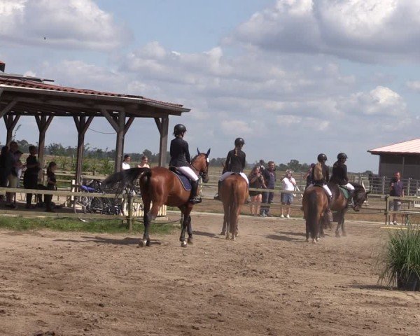 Reitturnier Altlandsberg 2024