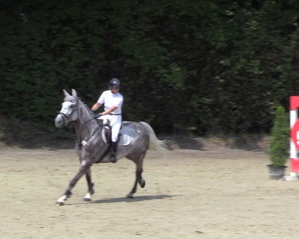 Reitturnier Arnsberg-Holzen 2024