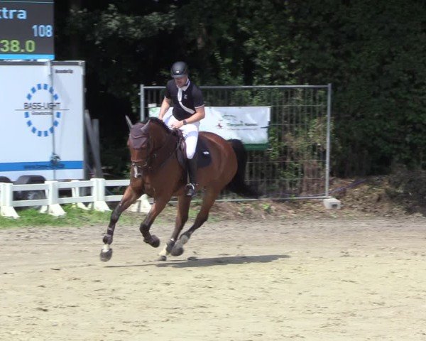 Reitturnier Arnsberg-Holzen 2024