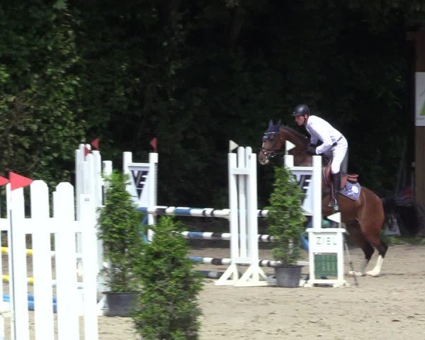 Reitturnier Arnsberg-Holzen 2024