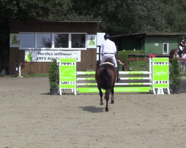 Reitturnier Arnsberg-Holzen 2024
