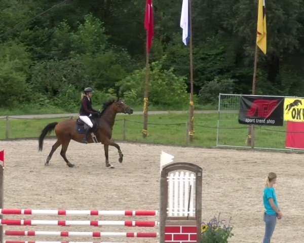 Reitturnier Gossau 2024