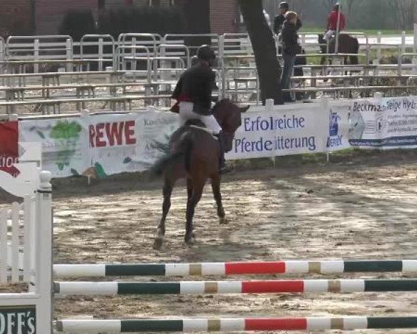 Reitturnier Werne-Lenklar 2013