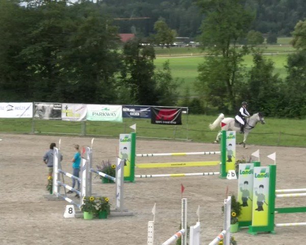 Reitturnier Gossau 2024