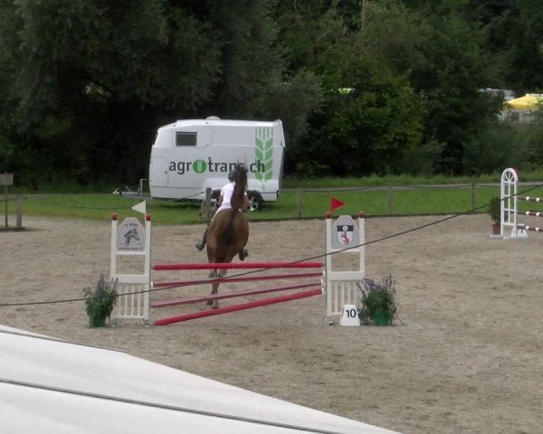 Reitturnier Gossau 2024
