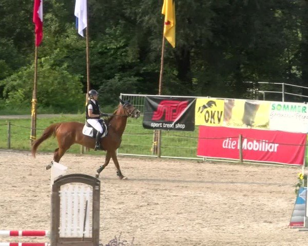 Reitturnier Gossau 2024