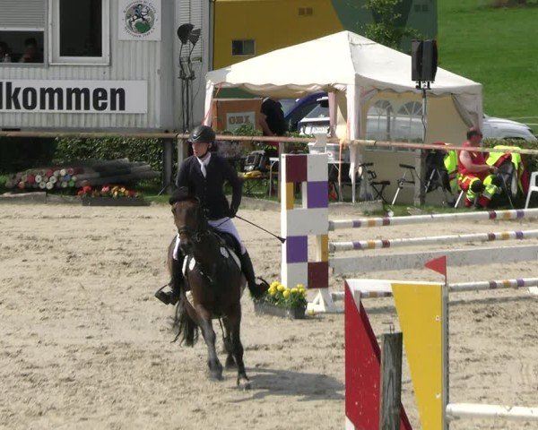 Reitturnier Monschau-Mützenich 2024