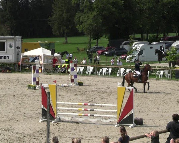 Reitturnier Monschau-Mützenich 2024