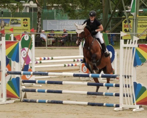 Reitturnier Mannheim-Friedrichsfeld 2024