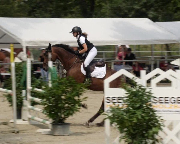Reitturnier Mannheim-Friedrichsfeld 2024