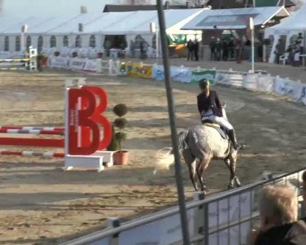 Reitturnier Werne-Lenklar 2013