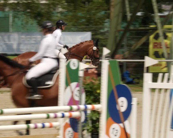 Reitturnier Mannheim-Friedrichsfeld 2024