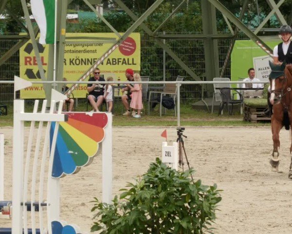 Reitturnier Mannheim-Friedrichsfeld 2024