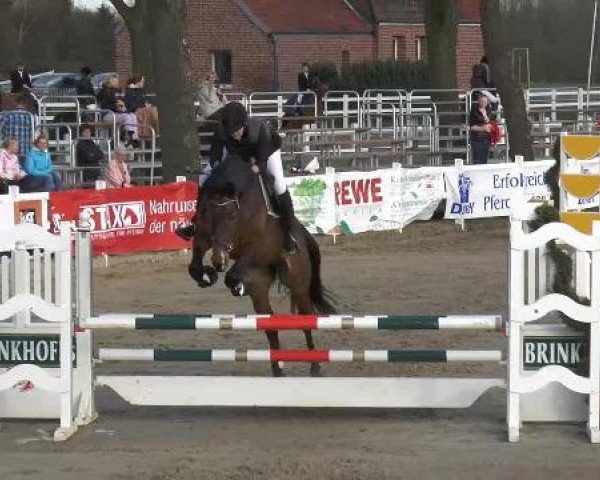 Lenklarer Reitertage auf der Reitsportanlage Gripshöver 2013
