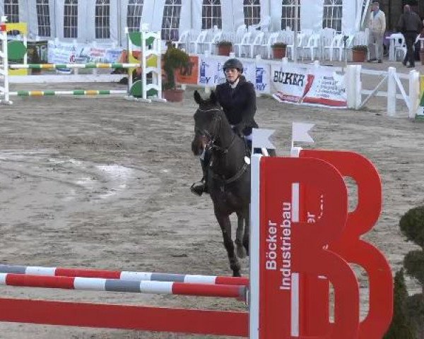 Lenklarer Reitertage auf der Reitsportanlage Gripshöver 2013