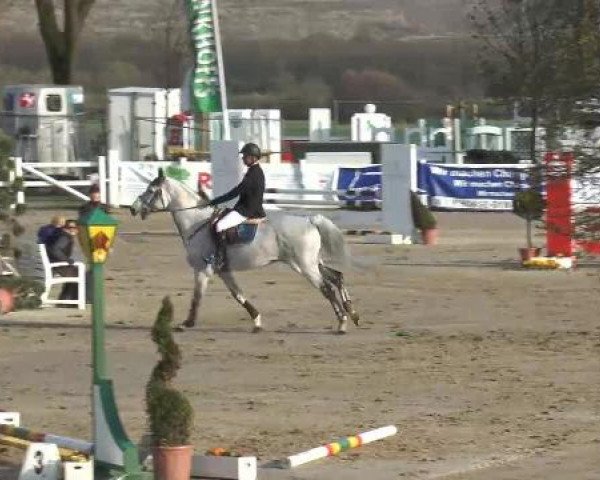 Reitturnier Werne-Lenklar 2013