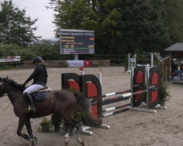Reitturnier Marienheide-Kempershöhe 2024