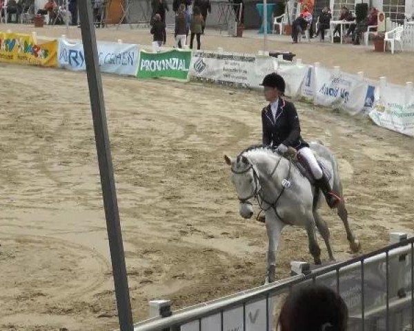Lenklarer Reitertage auf der Reitsportanlage Gripshöver 2013