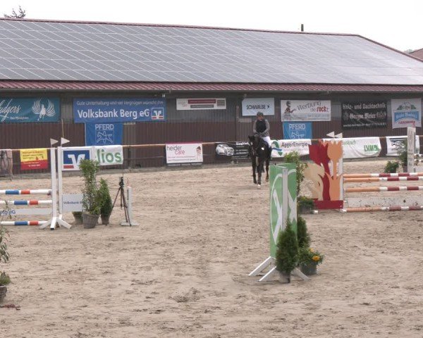 Reitturnier Marienheide-Kempershöhe 2024