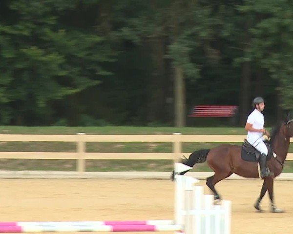 Reitturnier Tiefenhof/Opf. 2024