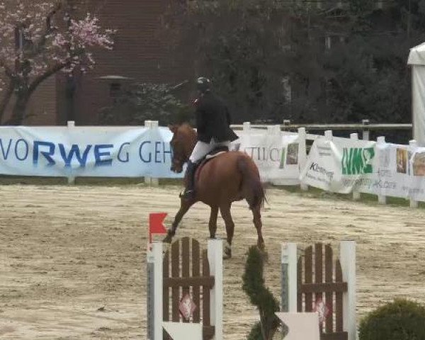 Lenklarer Reitertage auf der Reitsportanlage Gripshöver 2013