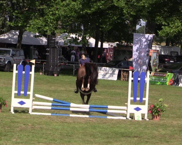 Reitturnier Zobbenitz 2024