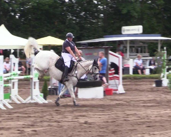 Reitturnier Sollerup 2024