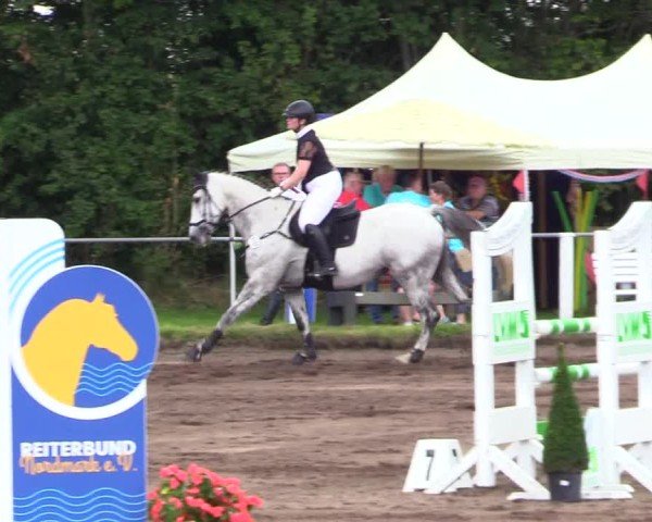 Reitturnier Sollerup 2024