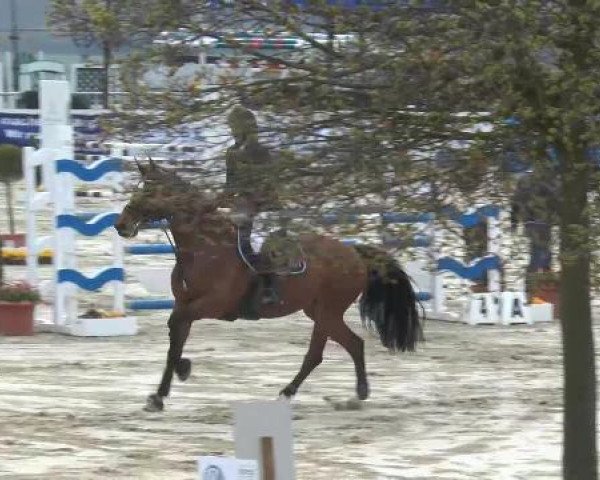 Reitturnier Werne-Lenklar 2013
